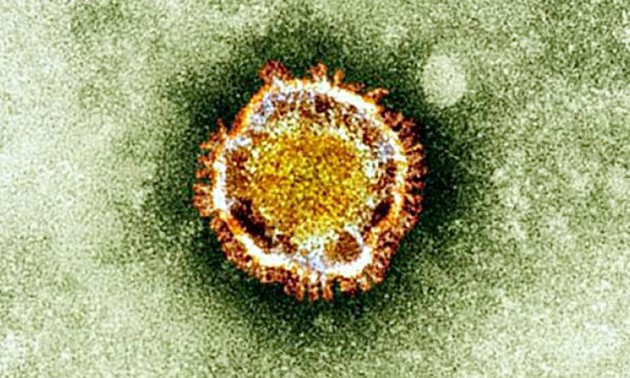 อิตาลีตรวจพบผู้ติดเชื้อไวรัสคล้ายซาร์ส 10 คน