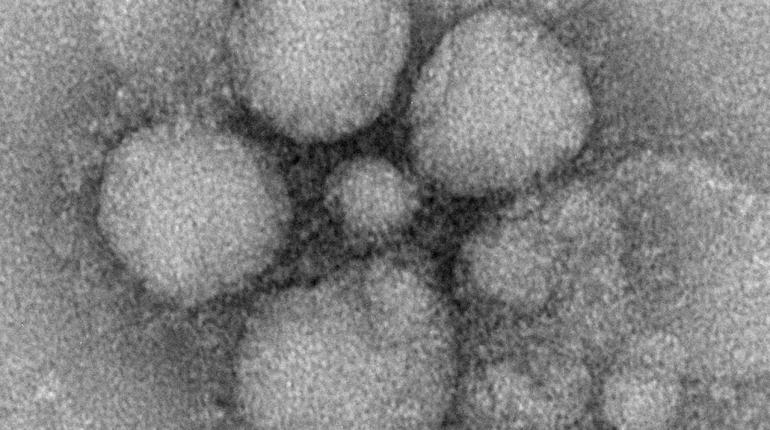 ระวังเข้ม ไวรัสโคโรนา หลังนักท่องเที่ยวมาเลเซียเสียชีวิตรายแรกในเอเชีย
