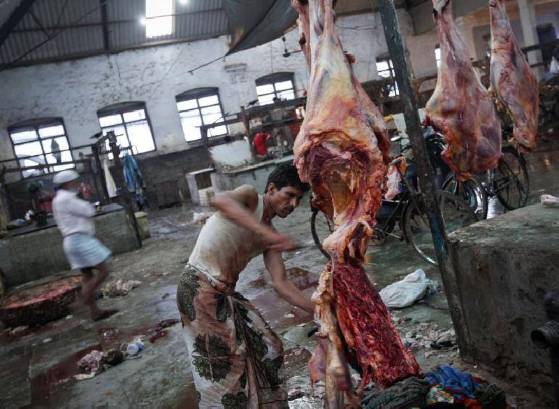  แก้กฎหมายคุ้มครองสัตว์ รัฐมหาราษฎร์ห้ามฆ่า-ห้ามขาย-ห้ามกิน เนื้อวัว